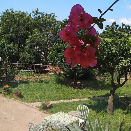 B&B Casa Gemma Lamezia Terme Exteriör bild
