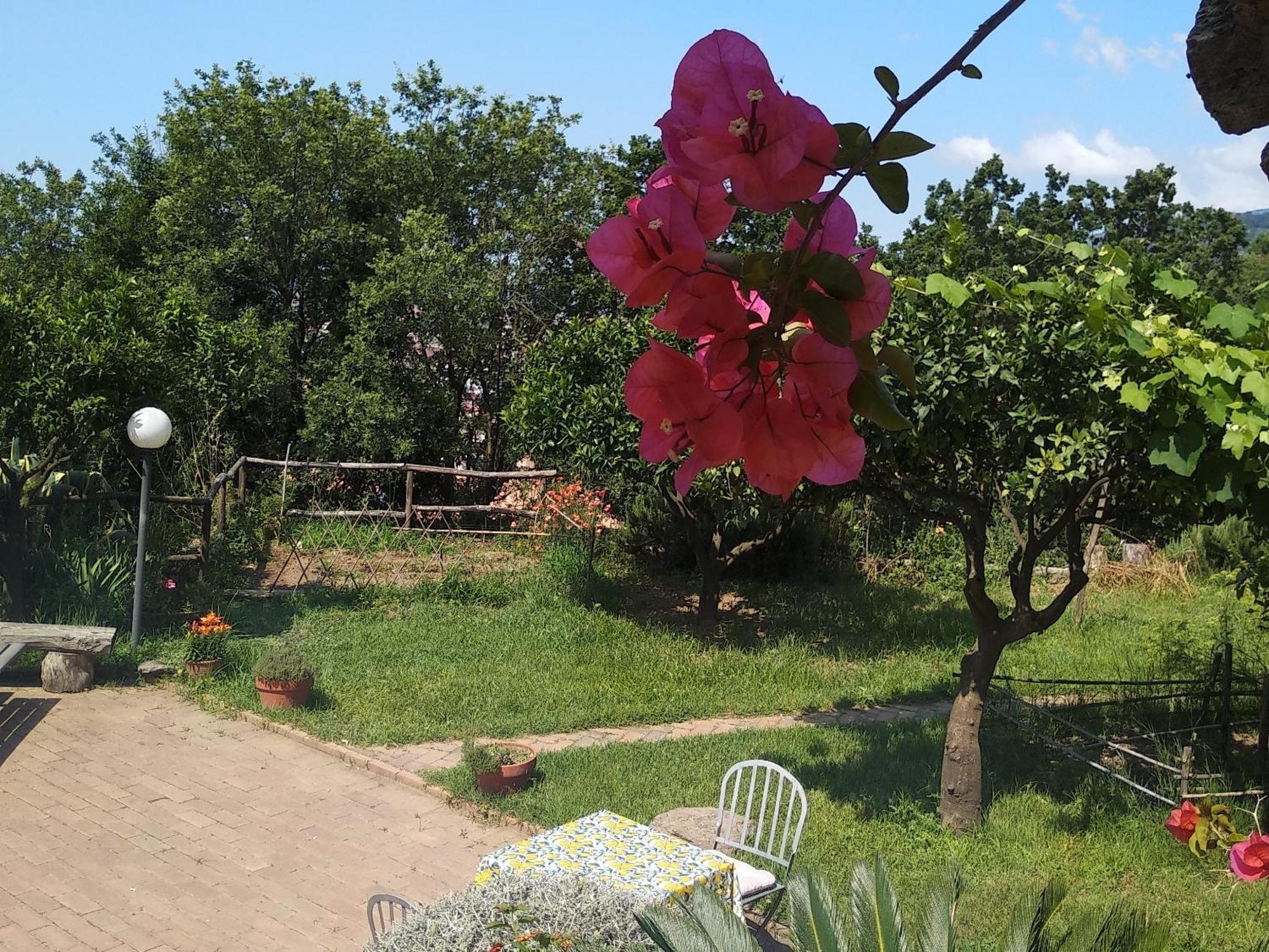 B&B Casa Gemma Lamezia Terme Exteriör bild